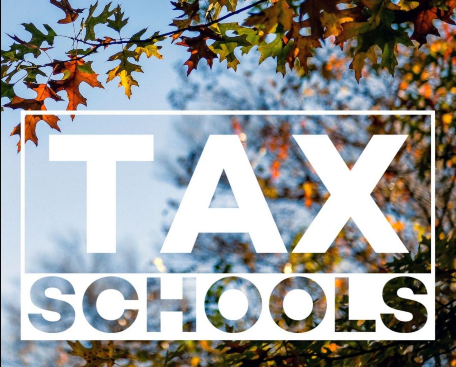 The word tax school in front of autumn leaves