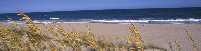 North Carolina Shore