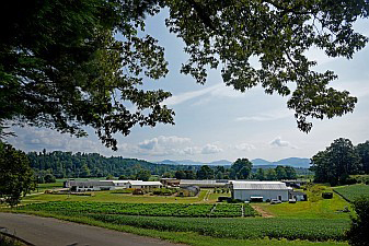 Mountain Crops Research and Extension Center