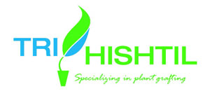 Tri Hishtil Logo