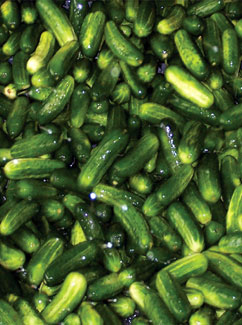 Pickles