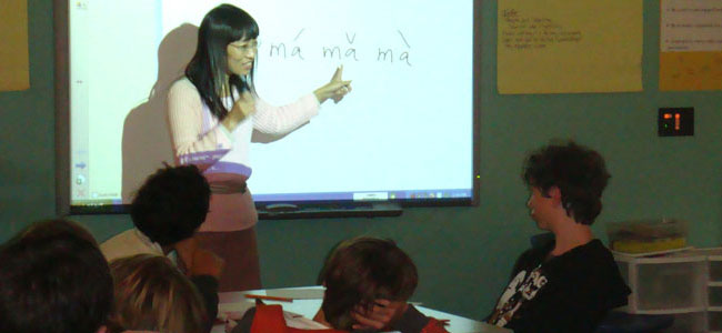 Chinese Language Teacher in Classroom